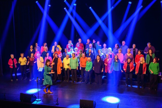 S1 voice 5